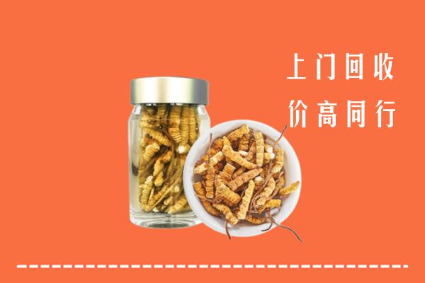 附近收购：威海回收冬虫夏草